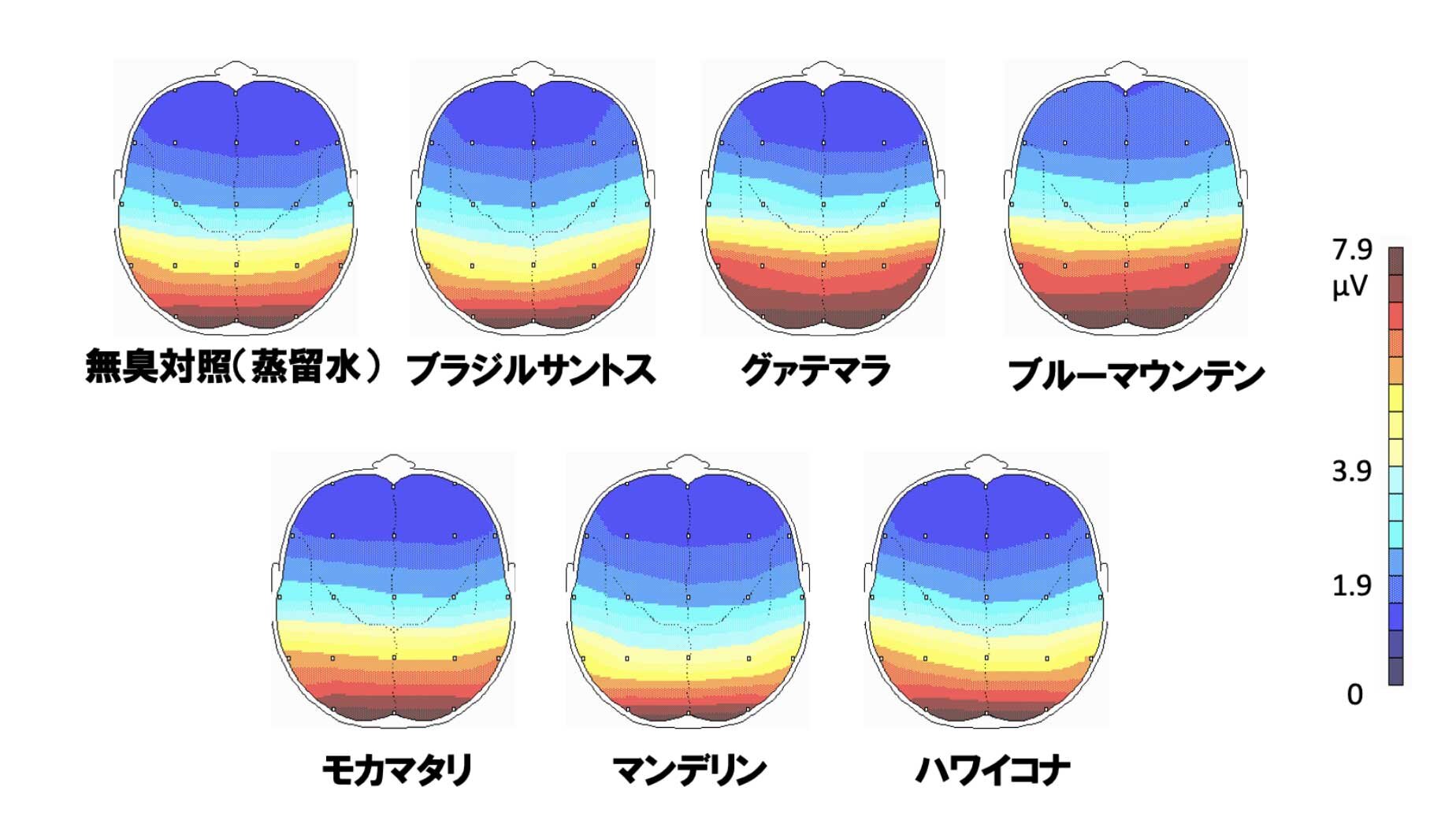 コーヒー豆の香りの違いによるα波量(10.5-11.0Hz)の差異